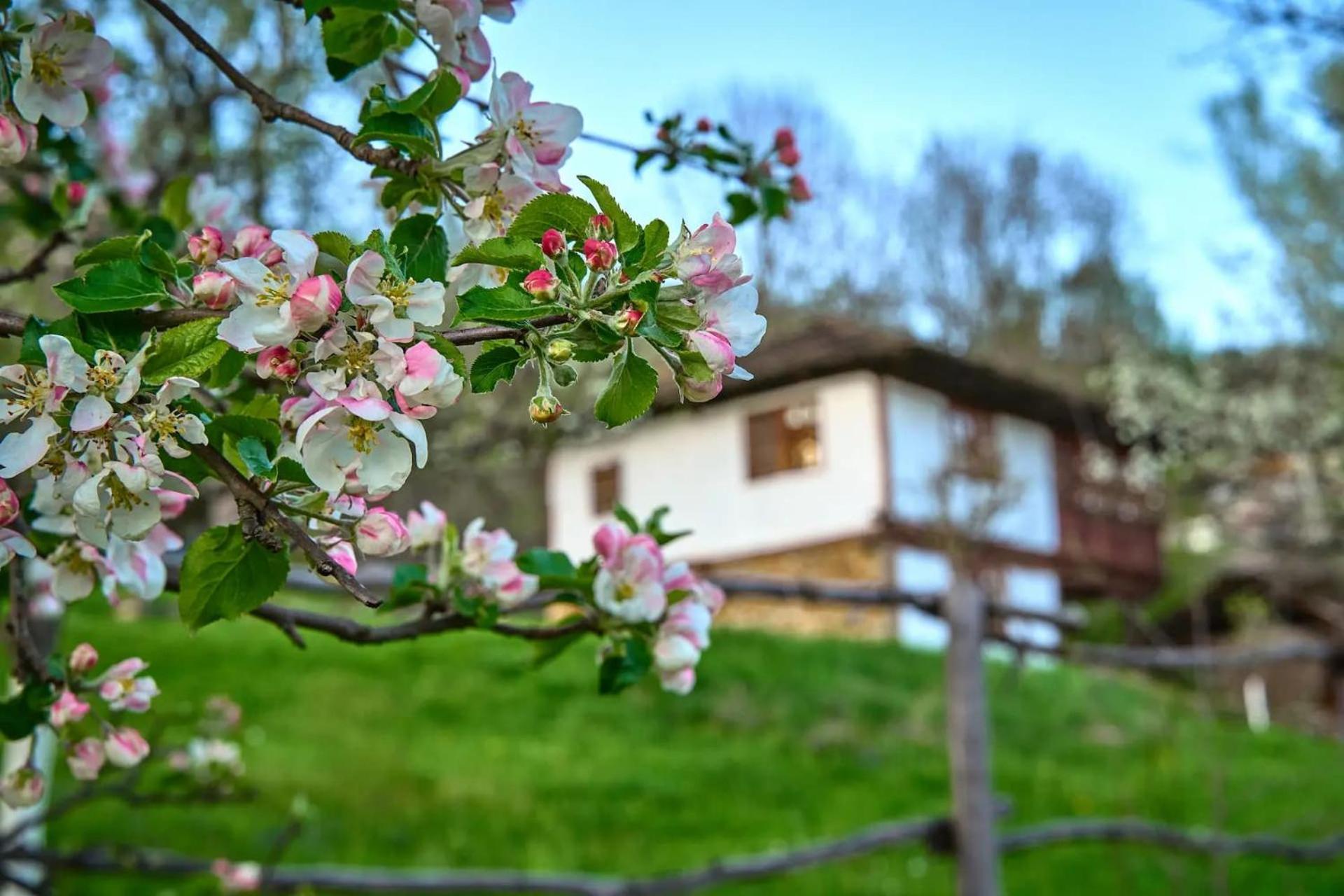 Holiday home Authentic House With Stunning Mountain View - Karashka *